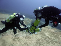 pink miflex hoses on diver in cyprus